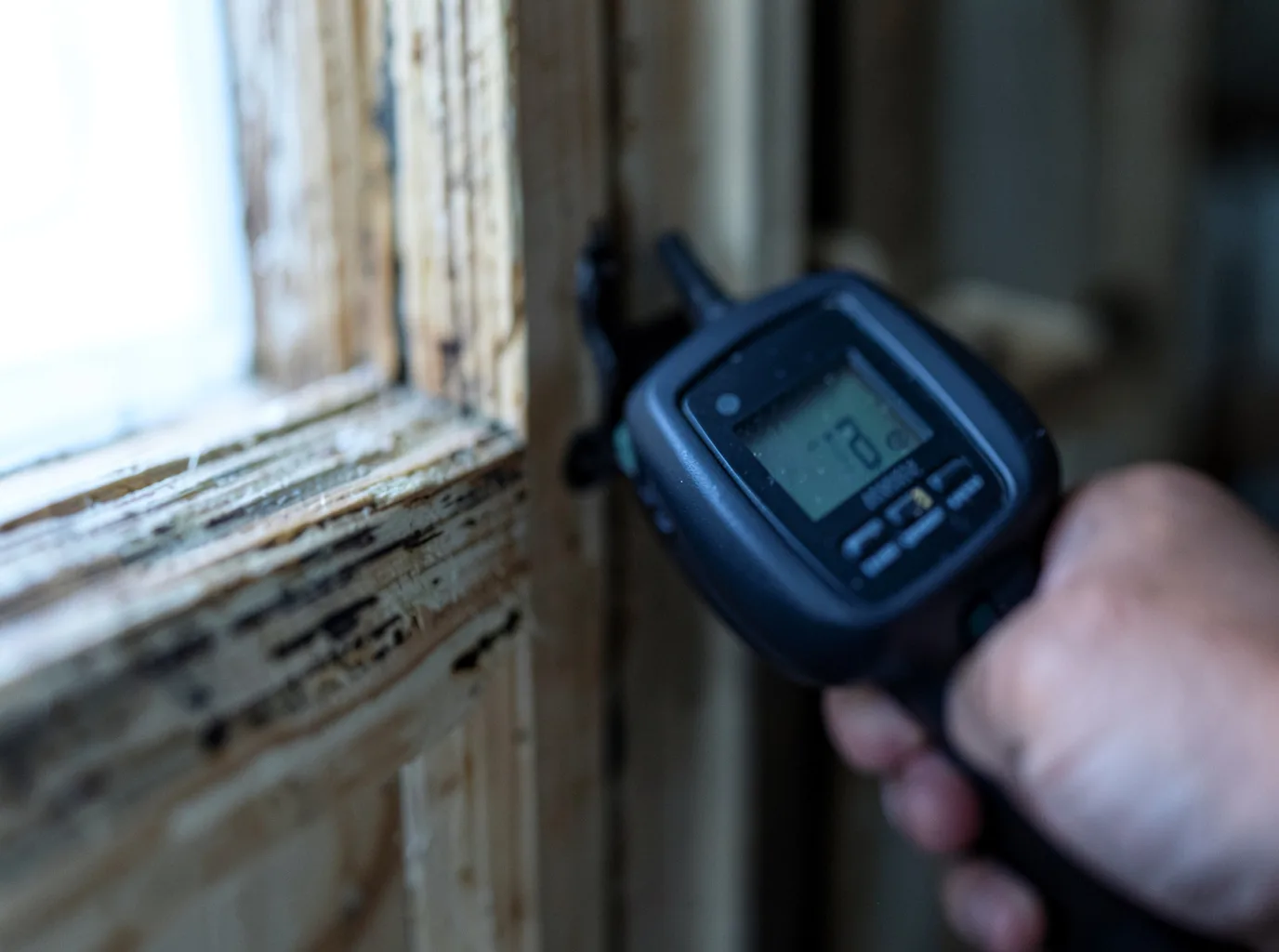 Moisture Inspection And Documentation in Pocahontas, IL